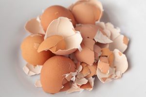 Take Your Claimant How You Find Them: Reaffirming Eggshell Plaintiff Rule